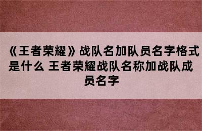 《王者荣耀》战队名加队员名字格式是什么 王者荣耀战队名称加战队成员名字